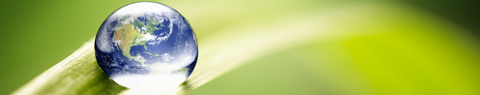 blog banner